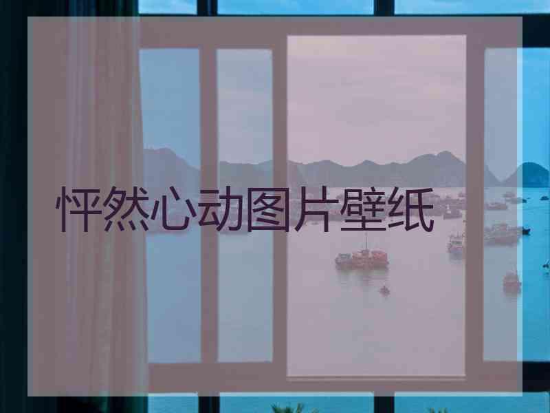 怦然心动图片壁纸