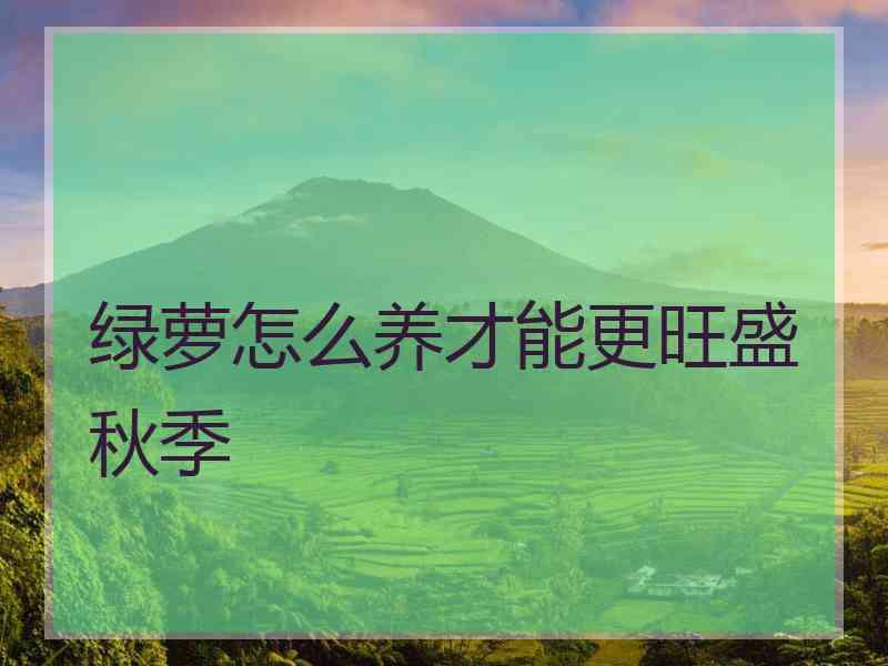 绿萝怎么养才能更旺盛秋季