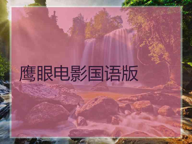 鹰眼电影国语版