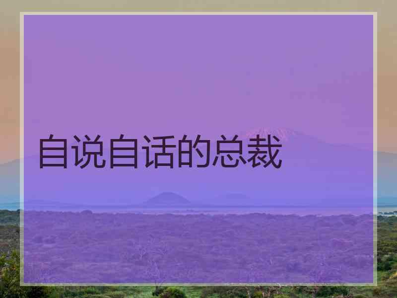 自说自话的总裁