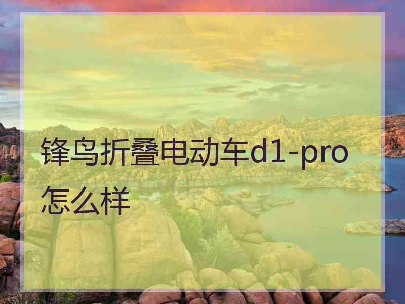 锋鸟折叠电动车d1-pro怎么样