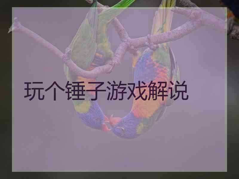 玩个锤子游戏解说