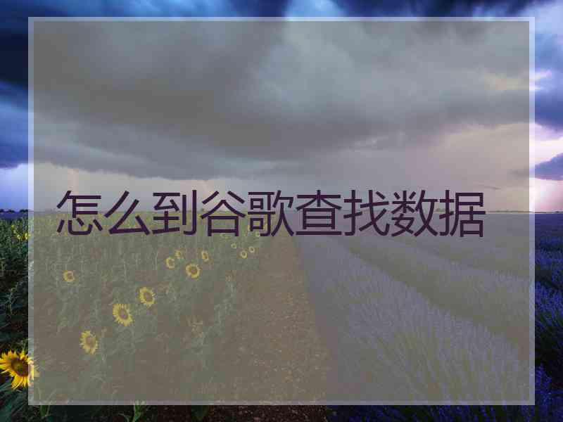 怎么到谷歌查找数据