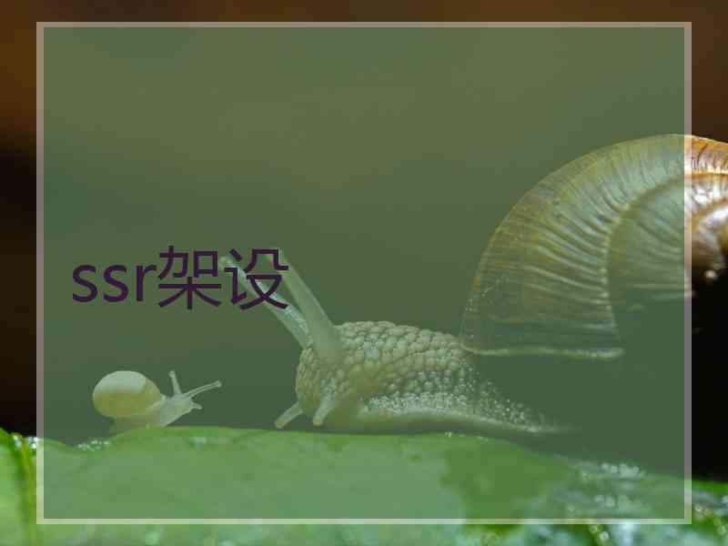 ssr架设