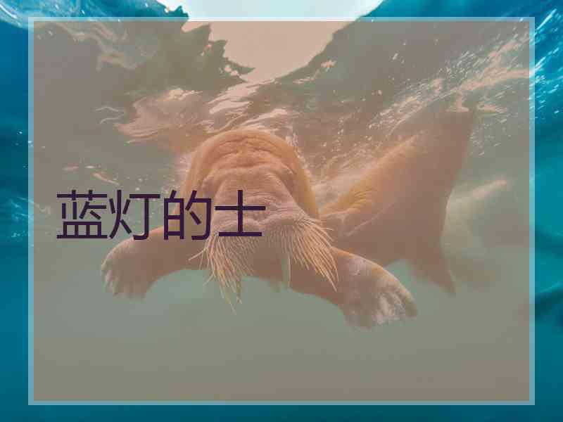 蓝灯的士