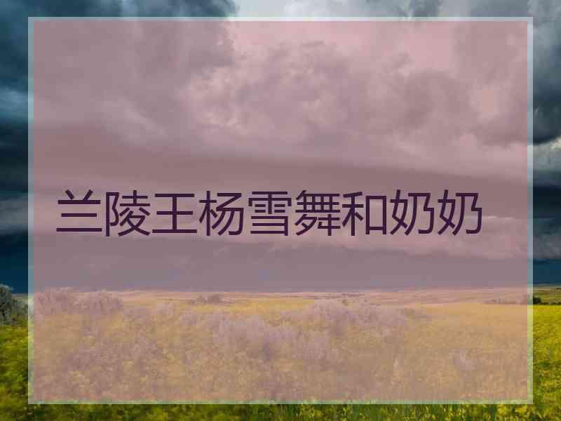 兰陵王杨雪舞和奶奶