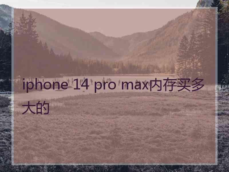 iphone 14 pro max内存买多大的