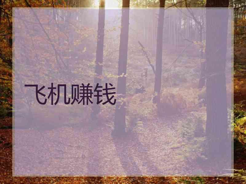 飞机赚钱