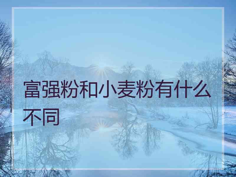 富强粉和小麦粉有什么不同