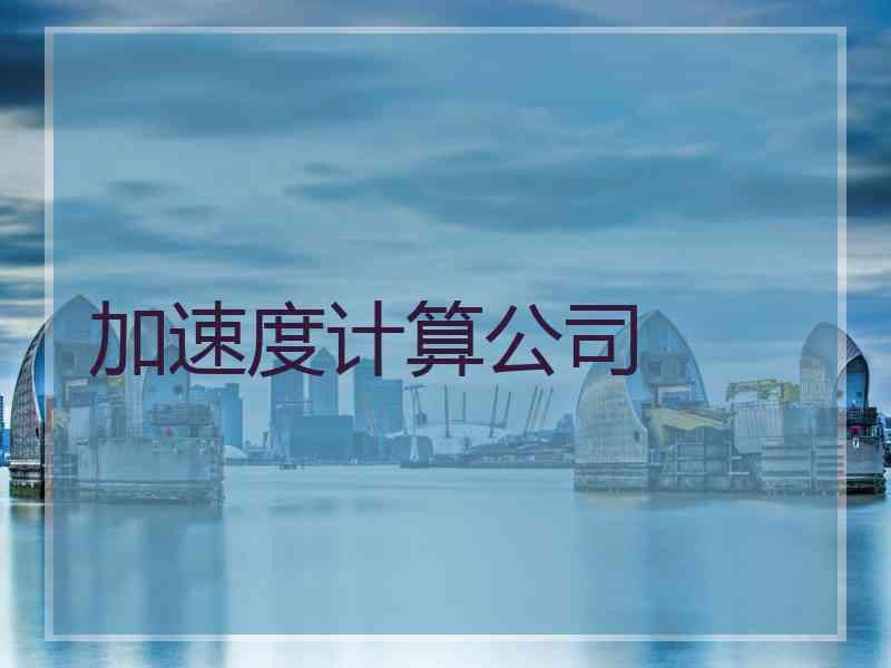 加速度计算公司