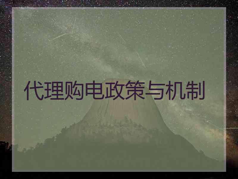 代理购电政策与机制