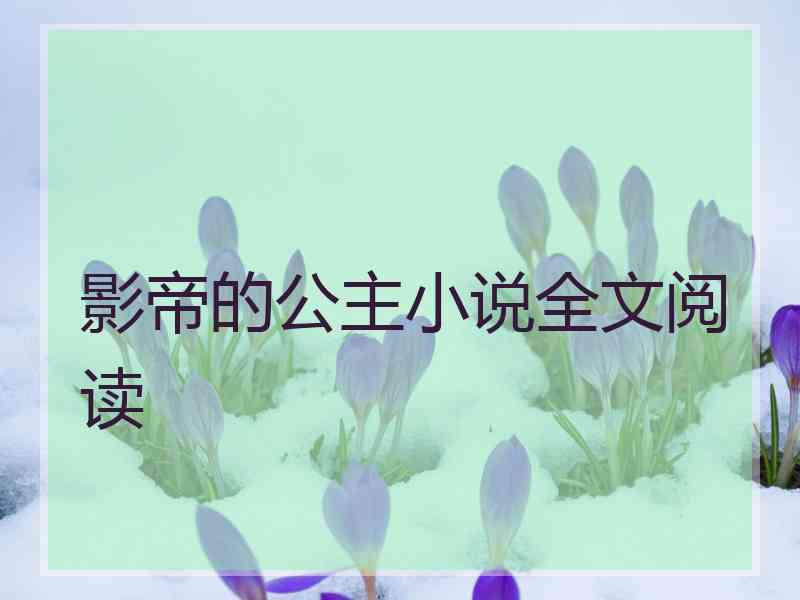 影帝的公主小说全文阅读