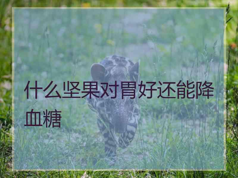 什么坚果对胃好还能降血糖
