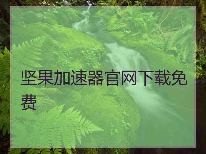 坚果加速器官网下载免费