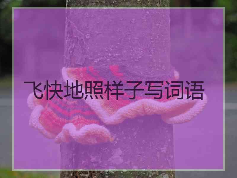 飞快地照样子写词语
