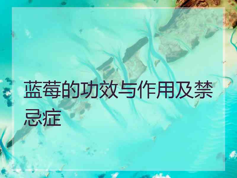 蓝莓的功效与作用及禁忌症