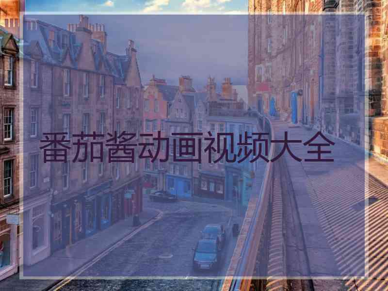 番茄酱动画视频大全