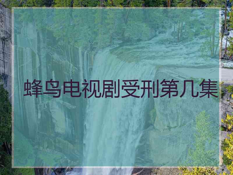 蜂鸟电视剧受刑第几集