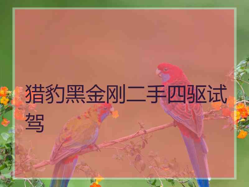 猎豹黑金刚二手四驱试驾