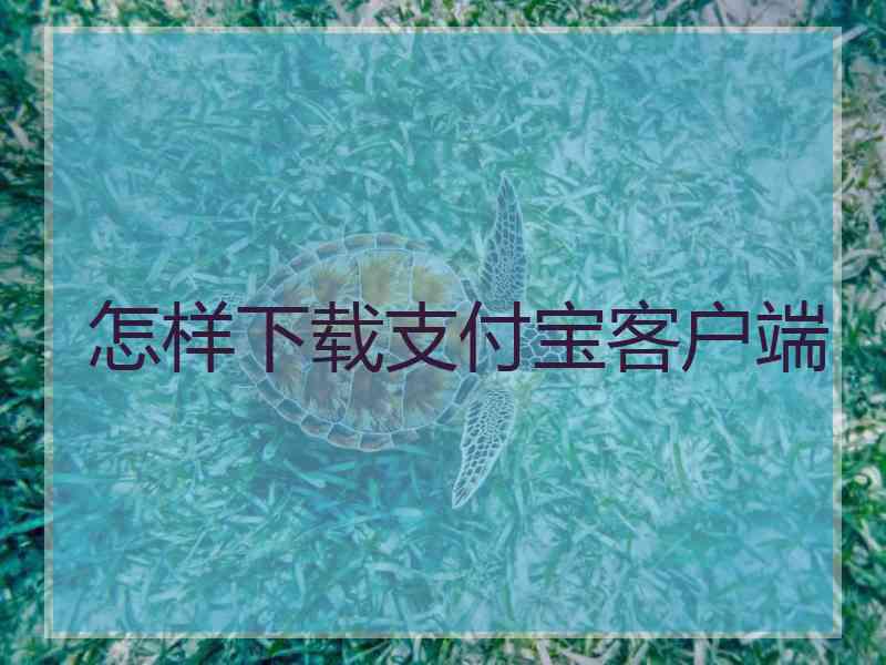 怎样下载支付宝客户端