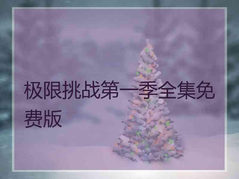 极限挑战第一季全集免费版