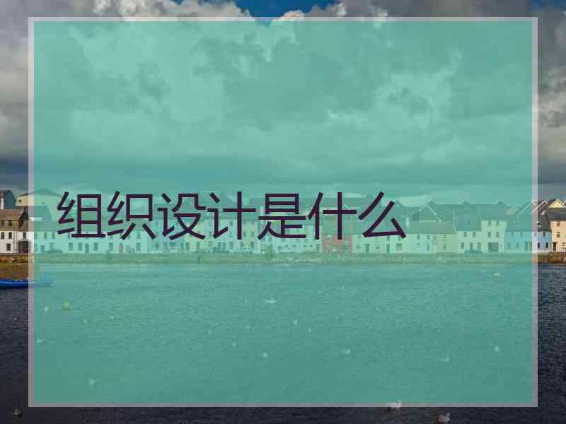 组织设计是什么