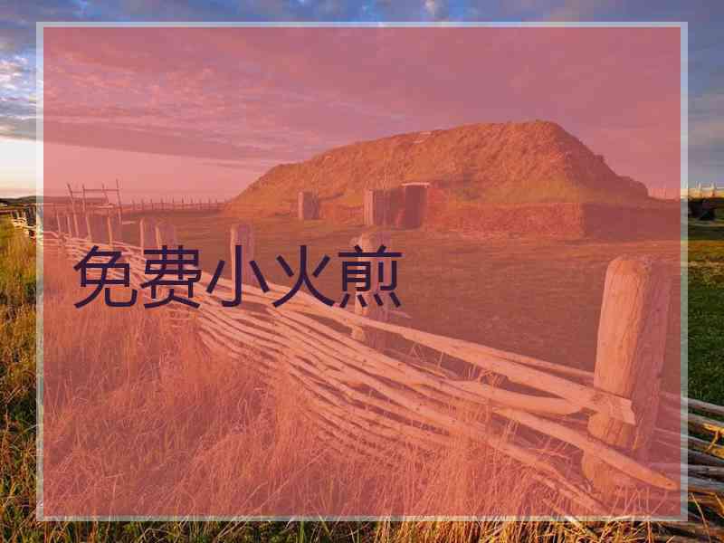 免费小火煎