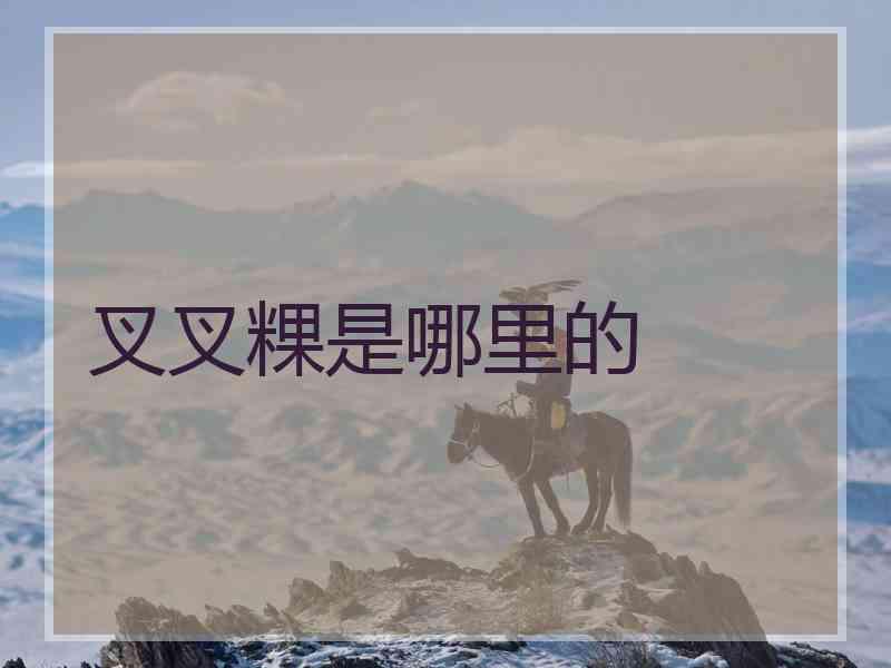 叉叉粿是哪里的
