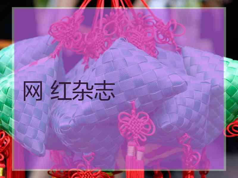 网 红杂志