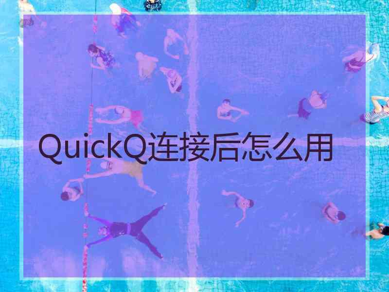 QuickQ连接后怎么用