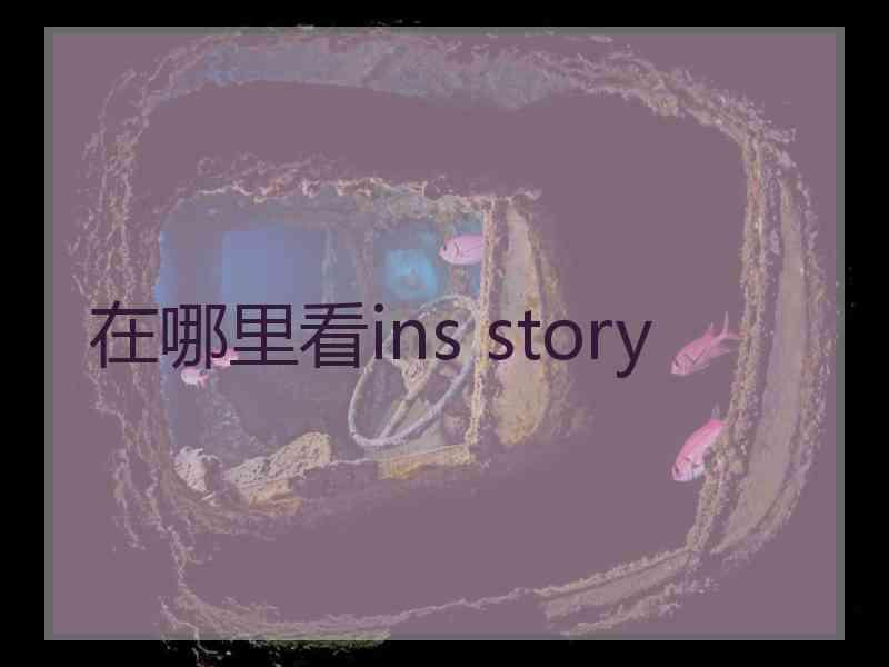 在哪里看ins story