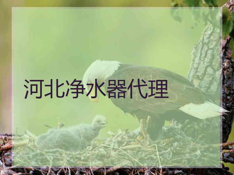 河北净水器代理