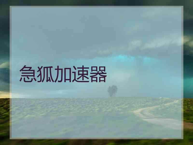 急狐加速器