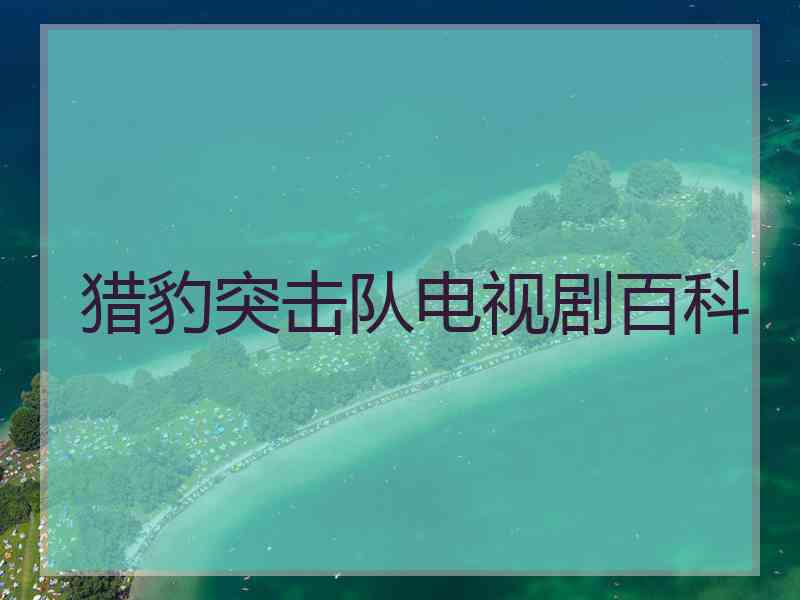 猎豹突击队电视剧百科