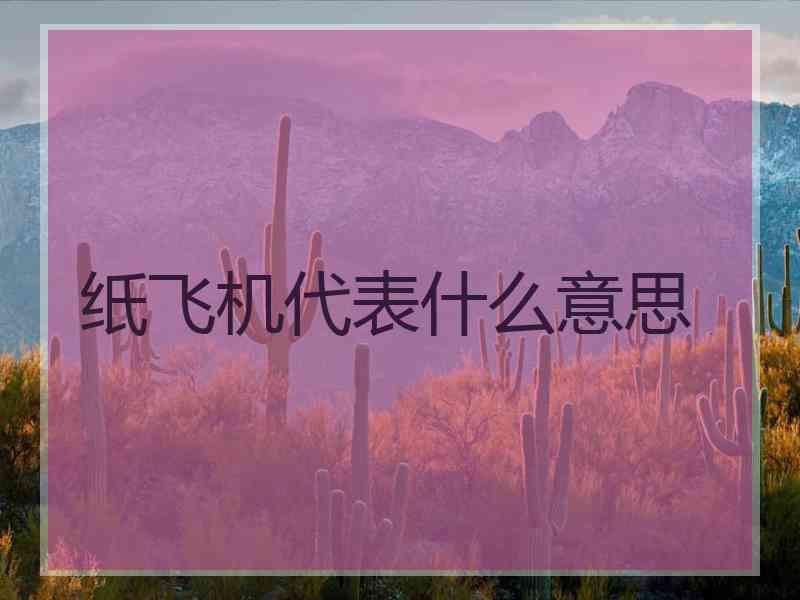 纸飞机代表什么意思