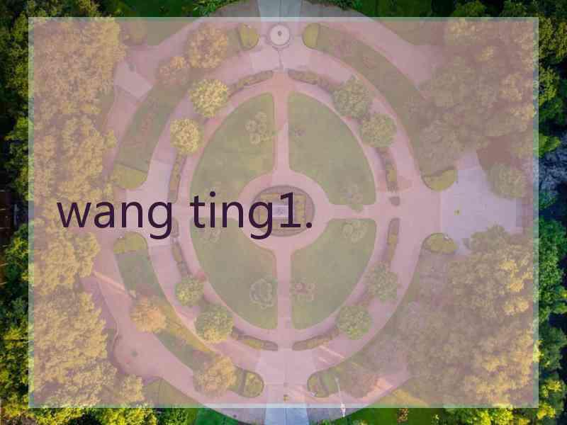 wang ting1.