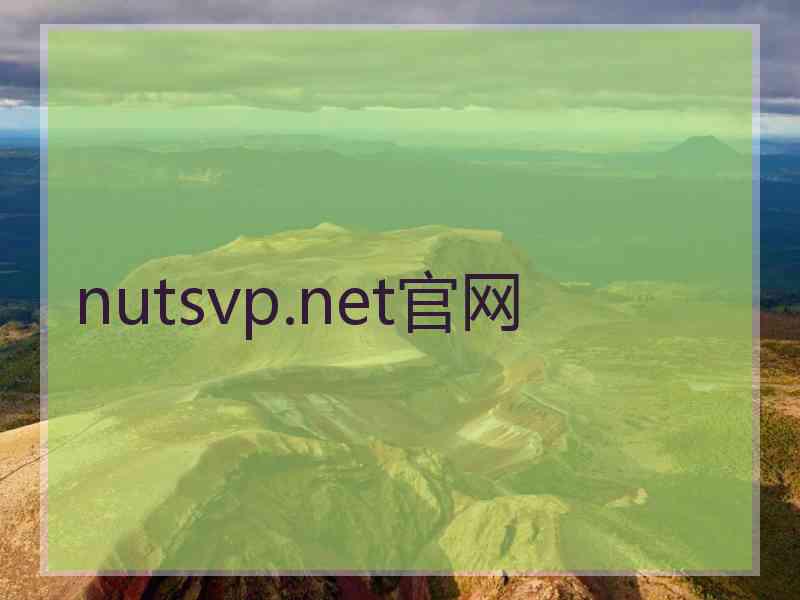 nutsvp.net官网