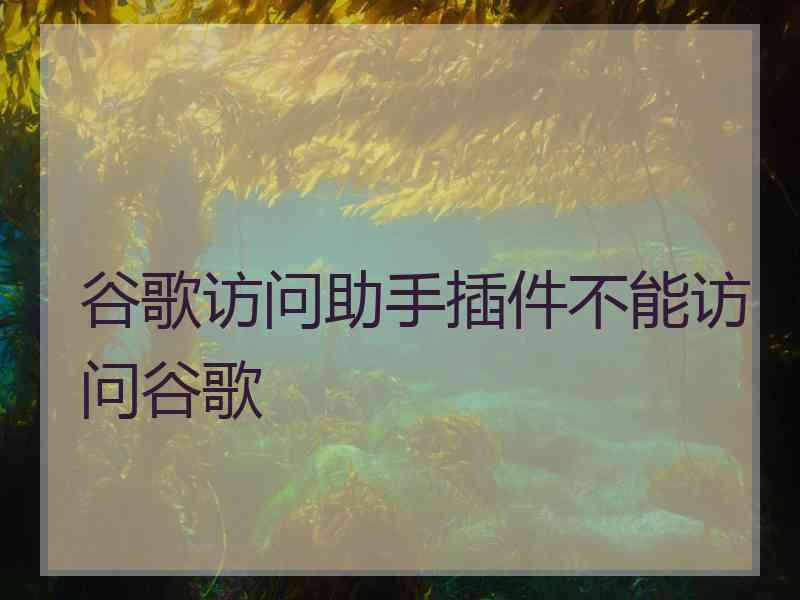 谷歌访问助手插件不能访问谷歌