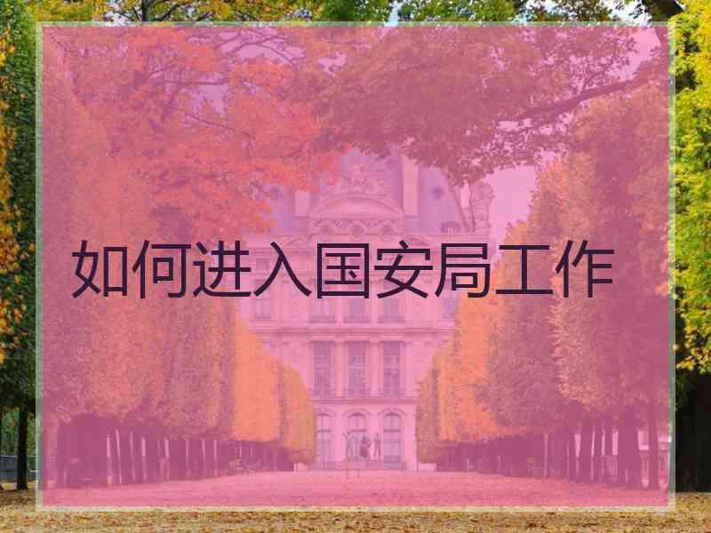 如何进入国安局工作
