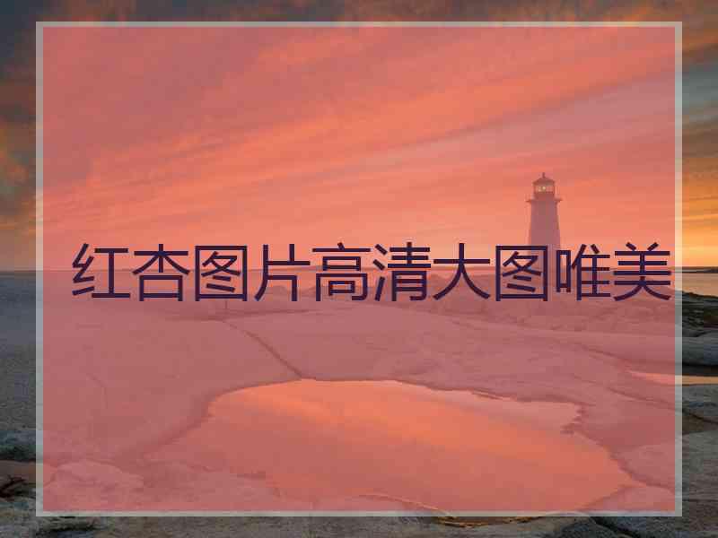 红杏图片高清大图唯美
