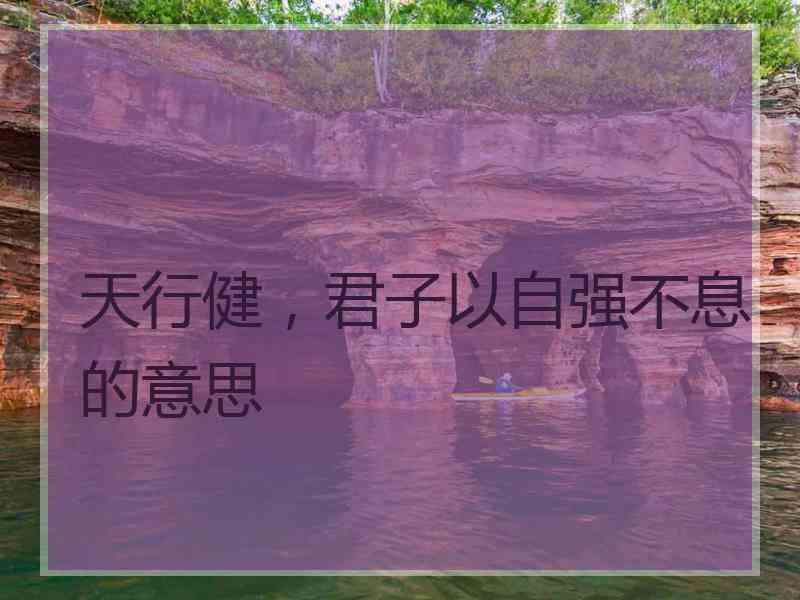 天行健，君子以自强不息的意思