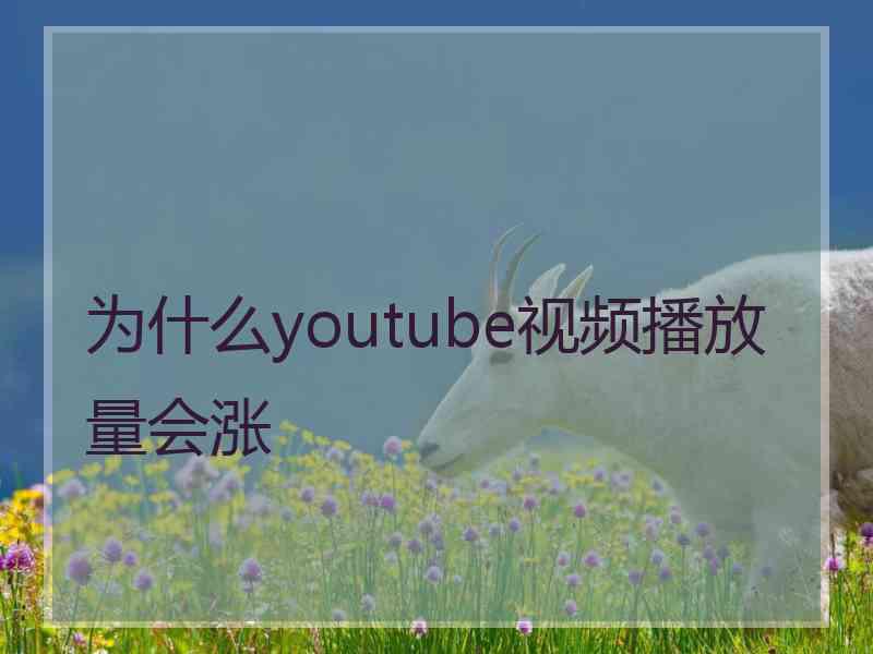 为什么youtube视频播放量会涨