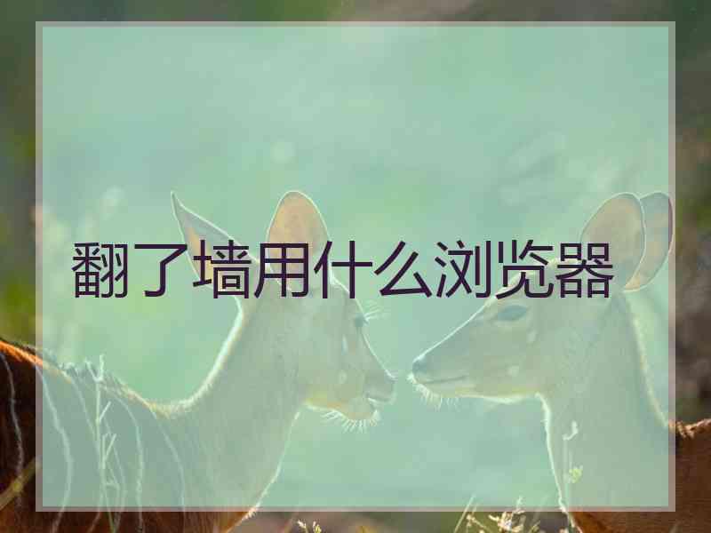翻了墙用什么浏览器