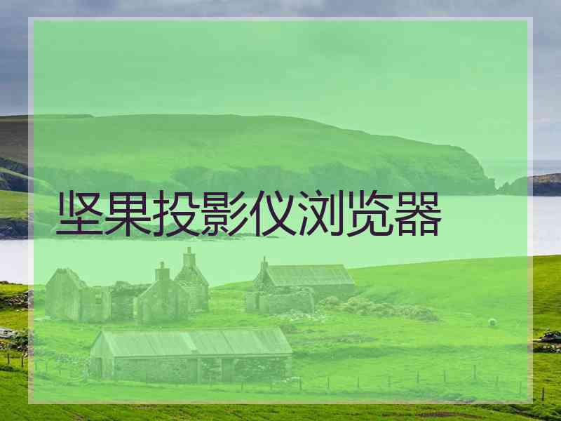 坚果投影仪浏览器