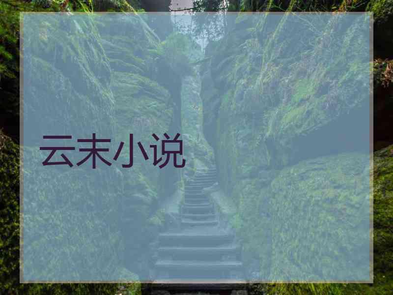 云末小说