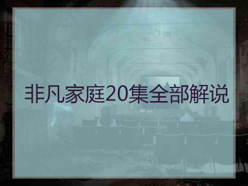 非凡家庭20集全部解说