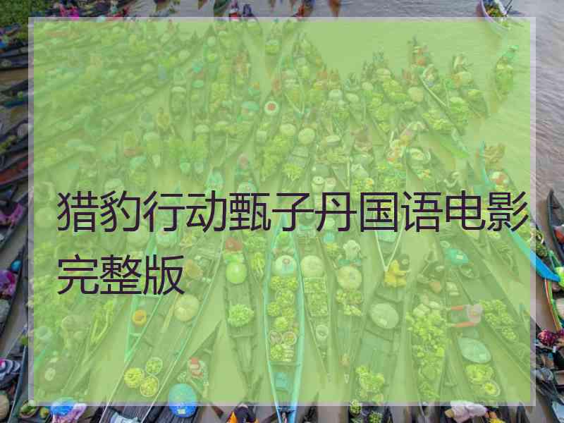 猎豹行动甄子丹国语电影完整版