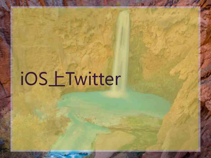 iOS上Twitter