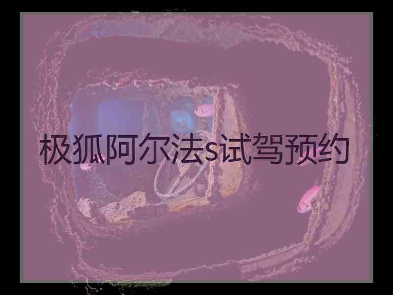极狐阿尔法s试驾预约
