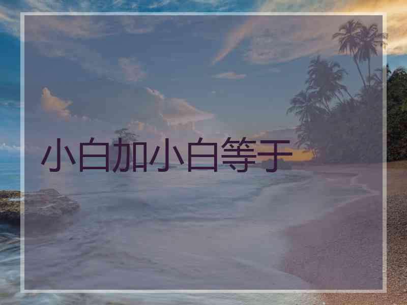 小白加小白等于